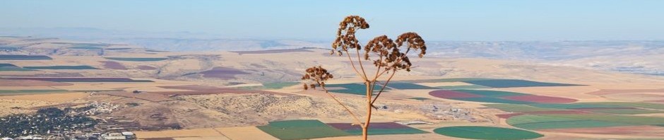 אסא גיארי – ניהול וייעוץ עסקי לקיבוצים ולמגזר הכפרי